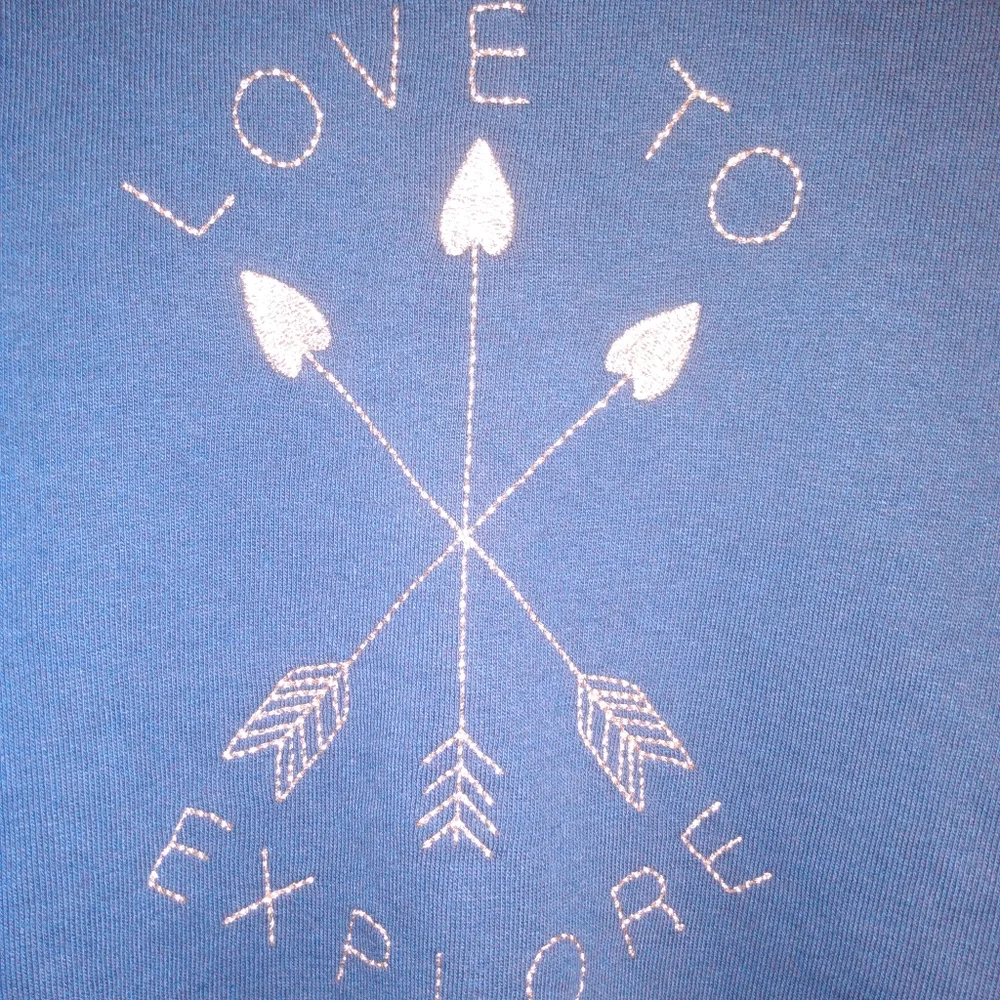 Gymboree Love to Explore top NWT